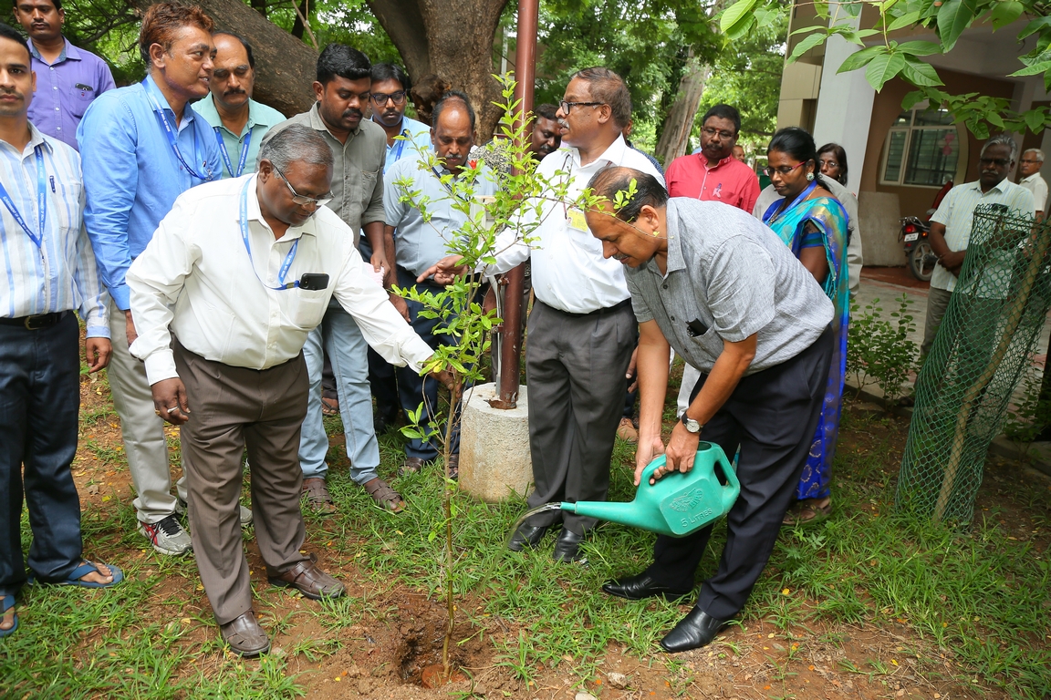 Resized JPEG graphic