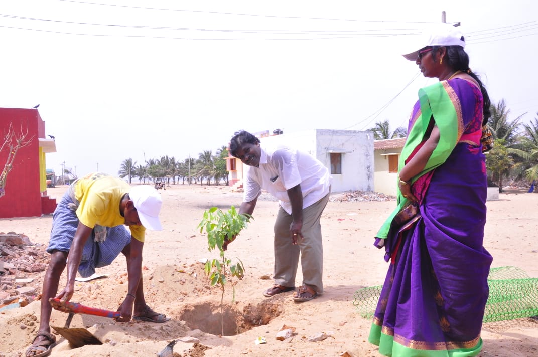 Resized JPEG graphic