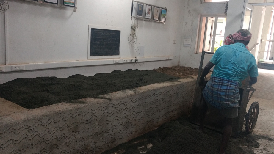 Resized JPEG graphic