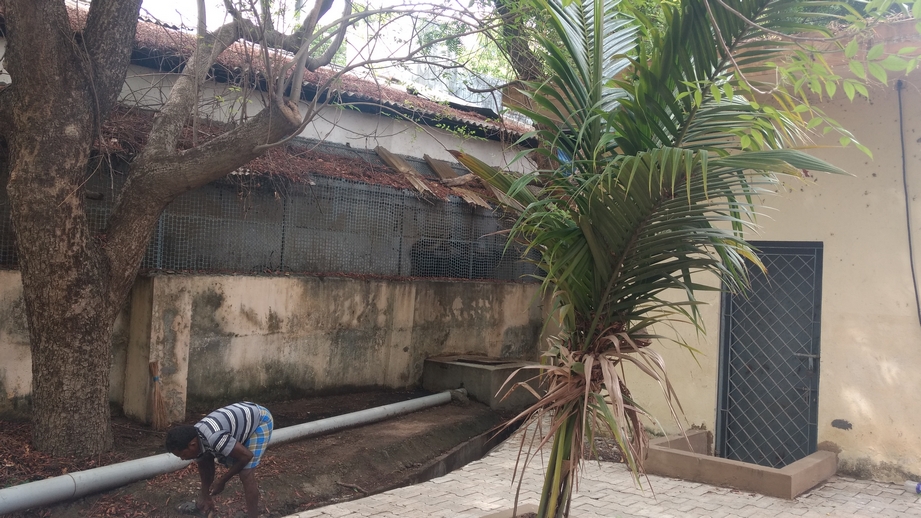 Resized JPEG graphic