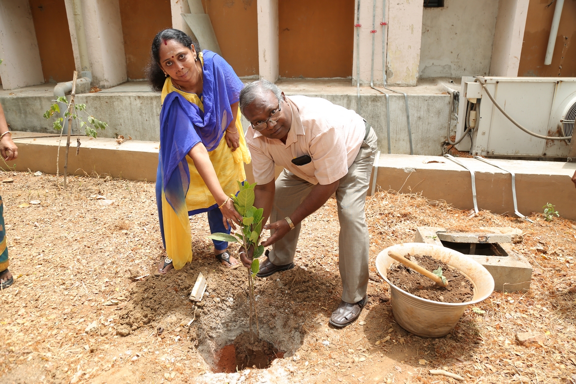 Resized JPEG graphic