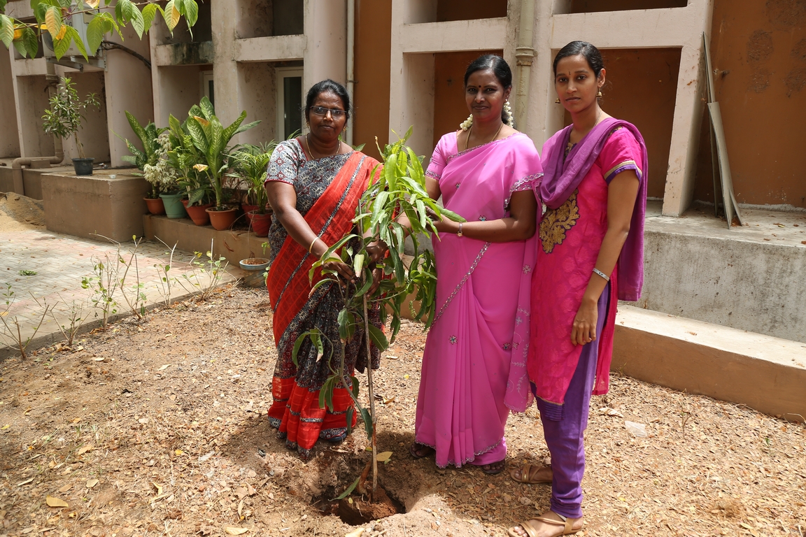 Resized JPEG graphic